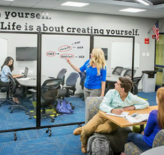 Room Dividers & Portable Partitions