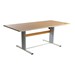 ADA Group Therapy Table w/Power Adjustment