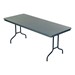 DynaLite ABS Plastic Folding Table