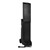 Bigfoot Portable Large Venue Sound System - Dual Mic Package