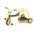 MyRider Chariot