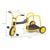 MyRider Chariot
