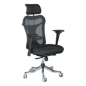 Ergo Ex Ergonomic Office Chair