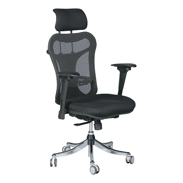 Ergo Ex Ergonomic Office Chair