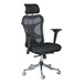 Ergo Ex Ergonomic Office Chair