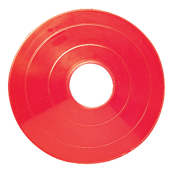 Champion Sports Field Cone