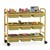 Bamboo Book Browser Cart w/ Nine Tubs