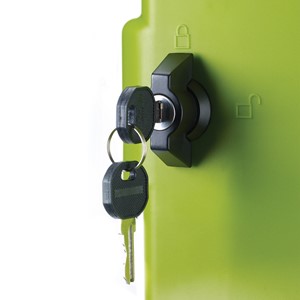 PFAM67157