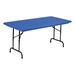 Colorful Blow-Molded Plastic Folding Table