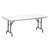 Blow-Molded Plastic Folding Table