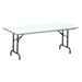 Blow-Molded Plastic Folding Table