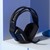 PFAM71597