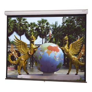 Model C Manual Screen w/ Controlled Screen Return