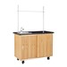 Economy Mobile Lab Table w/ Sink