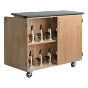Microscope Storage Cabinet w/ Plastic Laminate Top