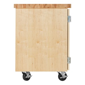 Access Touchdown Worktop Mobile Cabinet