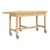 Forward Vision Table w/ Casters