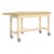 Forward Vision Table w/ Casters