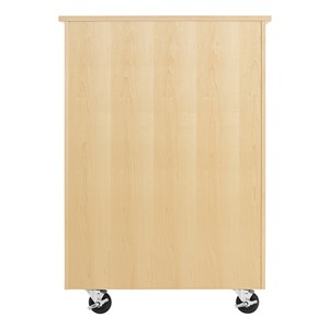Robotics Tote Mobile Storage Cabinet w/ VEX Label (36" W x 24" D x 53" H) - Back