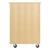 Robotics Tote Mobile Storage Cabinet w/ VEX Label (36" W x 24" D x 53" H) - Back