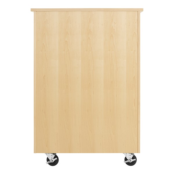 Robotics Tote Mobile Storage Cabinet w/ VEX Label (36" W x 24" D x 53" H) - Back