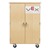 Robotics Tote Mobile Storage Cabinet w/ VEX Label (36" W x 24" D x 53" H)