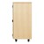 Robotics Tote Mobile Storage Cabinet w/ VEX Label (36" W x 24" D x 53" H) - Side
