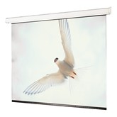 Targa Electric Wall Projection Screen