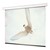 Targa Electric Wall Projection Screen