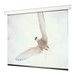 Targa Electric Wall Projection Screen