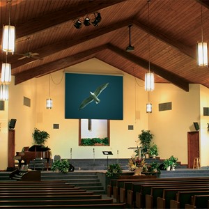 Targa Electric Wall Projection Screen