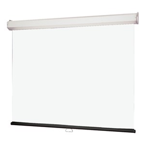 Luma 2 Manual Wall Projector Screen