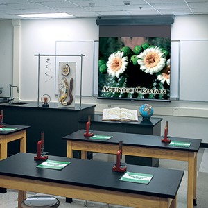 Luma 2 Manual Wall Projector Screen