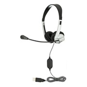 School Stereo USB Headset