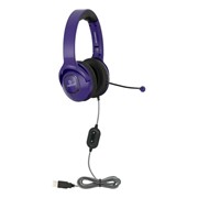 Premium Foldable USB Headset