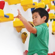 Adaptive Climbing Wall