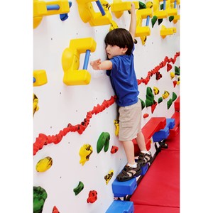 Adaptive Climbing Wall