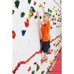 Adaptive Climbing Wall