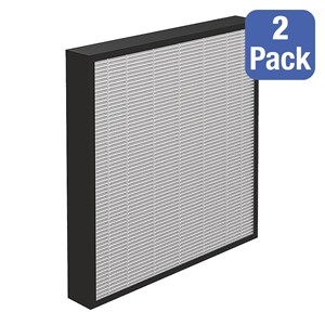 AeraMaxPRO 2" HEPA Filter w/ Antimicrobial Treatment