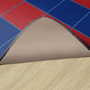 My Graphing & Sorting Rug - Backing