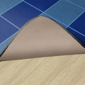 My Graphing & Sorting Rug - Horizontal - Backing