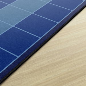 My Graphing & Sorting Rug - Horizontal - Edge