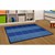 My Graphing & Sorting Rug - Horizontal