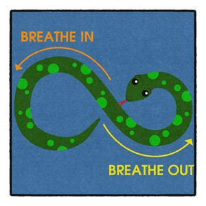 Figure Eight Snake Rug - (3' W x 3' L)