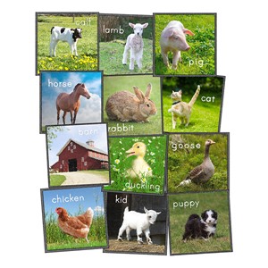 Barn Animals Carpet Squares - Set of 24