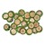 Forest Floor Carpet Rounds - Set of 24