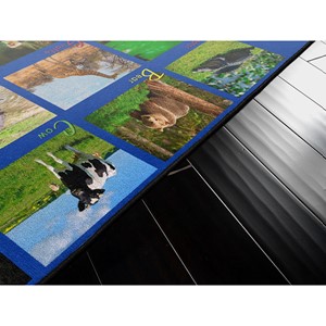 Alphabet Animals Rug