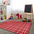 Checkered Rug