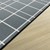 Checkered Rug (6' W x 8' 4" L) - Edge