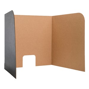 Package of 12 Computer Lab Privacy Screens